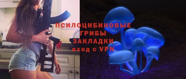 шишки Богданович
