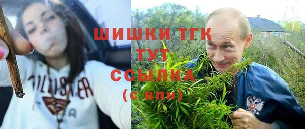 шишки Богданович